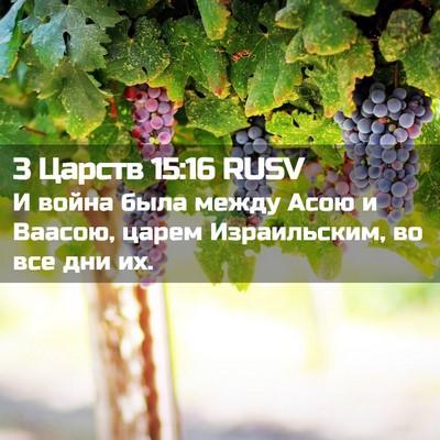 Picture 02 - 3 Царств 15:16 RUSV - И война была между Асою и - Bible Verse Picture