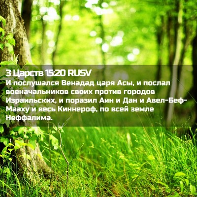 Picture 02 - 3 Царств 15:20 RUSV - И послушался Венадад царя - Bible Verse Picture