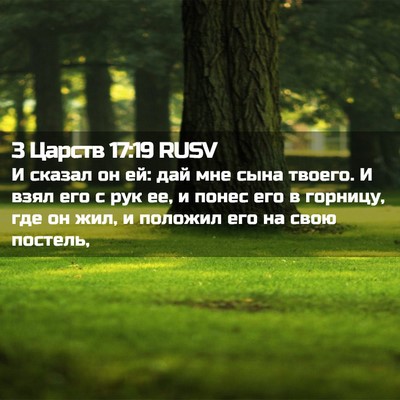 Picture 02 - 3 Царств 17:19 RUSV - И сказал он ей: дай мне сына - Bible Verse Picture