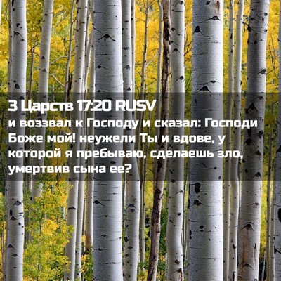 Picture 02 - 3 Царств 17:20 RUSV - и воззвал к Господу и - Bible Verse Picture
