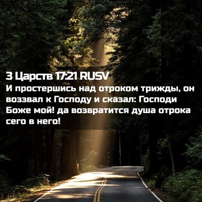 Picture 02 - 3 Царств 17:21 RUSV - И простершись над отроком - Bible Verse Picture