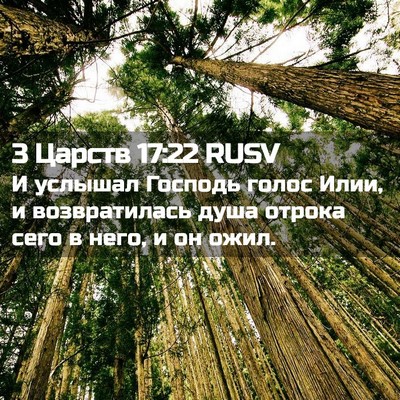 Picture 02 - 3 Царств 17:22 RUSV - И услышал Господь голос - Bible Verse Picture