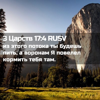 Picture 02 - 3 Царств 17:4 RUSV - из этого потока ты будешь - Bible Verse Picture