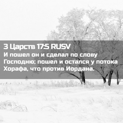 Picture 02 - 3 Царств 17:5 RUSV - И пошел он и сделал по - Bible Verse Picture