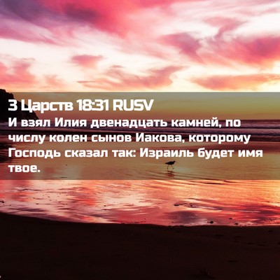 Picture 02 - 3 Царств 18:31 RUSV - И взял Илия двенадцать - Bible Verse Picture
