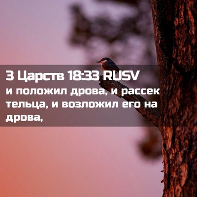 Picture 02 - 3 Царств 18:33 RUSV - и положил дрова, и рассек - Bible Verse Picture