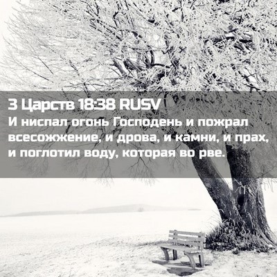 Picture 02 - 3 Царств 18:38 RUSV - И ниспал огонь Господень и - Bible Verse Picture