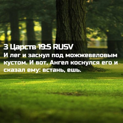 Picture 02 - 3 Царств 19:5 RUSV - И лег и заснул под - Bible Verse Picture