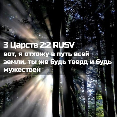 Picture 02 - 3 Царств 2:2 RUSV - вот, я отхожу в путь всей - Bible Verse Picture