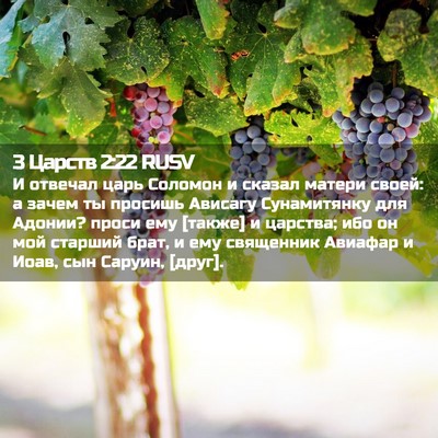 Picture 02 - 3 Царств 2:22 RUSV - И отвечал царь Соломон и - Bible Verse Picture