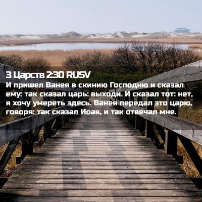Picture 02 - 3 Царств 2:30 RUSV - И пришел Ванея в скинию - Bible Verse Picture