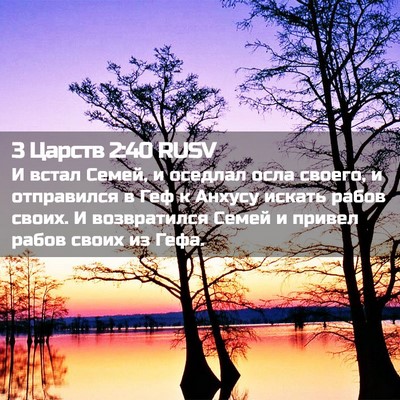 Picture 02 - 3 Царств 2:40 RUSV - И встал Семей, и оседлал - Bible Verse Picture