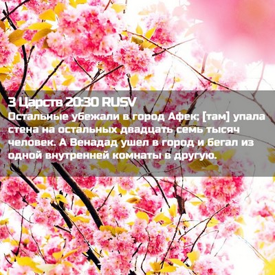 Picture 02 - 3 Царств 20:30 RUSV - Остальные убежали в город - Bible Verse Picture