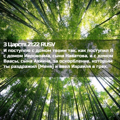 Picture 02 - 3 Царств 21:22 RUSV - И поступлю с домом твоим - Bible Verse Picture