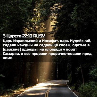 Picture 02 - 3 Царств 22:10 RUSV - Царь Израильский и - Bible Verse Picture