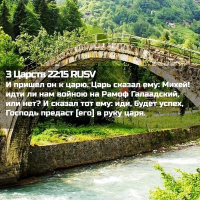 Picture 02 - 3 Царств 22:15 RUSV - И пришел он к царю. Царь - Bible Verse Picture