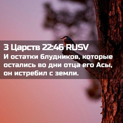 Picture 02 - 3 Царств 22:46 RUSV - И остатки блудников, - Bible Verse Picture