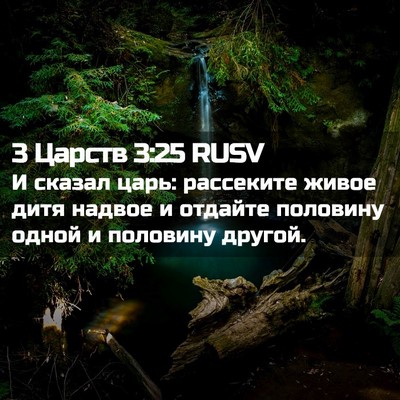Picture 02 - 3 Царств 3:25 RUSV - И сказал царь: рассеките - Bible Verse Picture