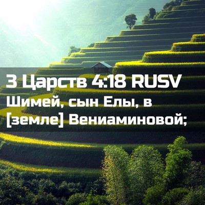 Picture 02 - 3 Царств 4:18 RUSV - Шимей, сын Елы, в [земле] - Bible Verse Picture