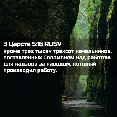 Picture 02 - 3 Царств 5:16 RUSV - кроме трех тысяч трехсот - Bible Verse Picture
