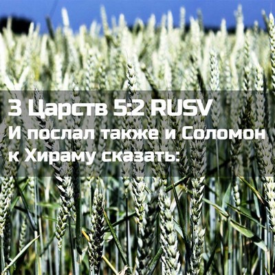 Picture 02 - 3 Царств 5:2 RUSV - И послал также и Соломон к - Bible Verse Picture