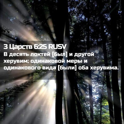 Picture 02 - 3 Царств 6:25 RUSV - В десять локтей [был] и - Bible Verse Picture