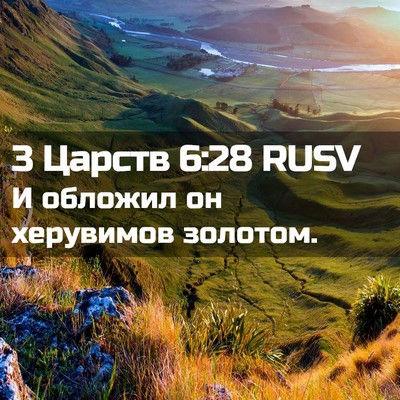 Picture 02 - 3 Царств 6:28 RUSV - И обложил он херувимов - Bible Verse Picture