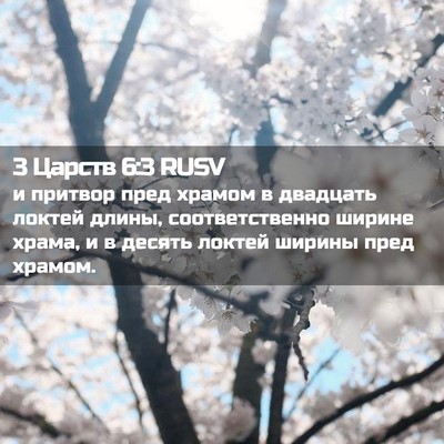 Picture 02 - 3 Царств 6:3 RUSV - и притвор пред храмом в - Bible Verse Picture
