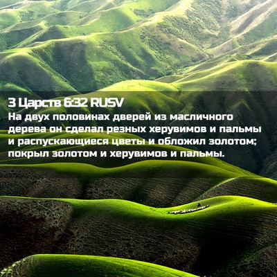 Picture 02 - 3 Царств 6:32 RUSV - На двух половинах дверей - Bible Verse Picture