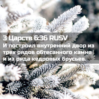 Picture 02 - 3 Царств 6:36 RUSV - И построил внутренний двор - Bible Verse Picture