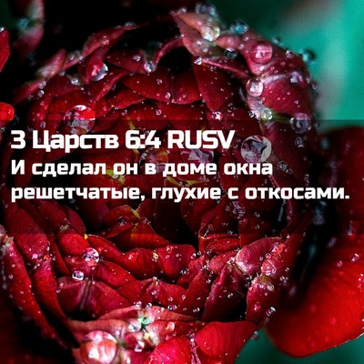 Picture 02 - 3 Царств 6:4 RUSV - И сделал он в доме окна - Bible Verse Picture