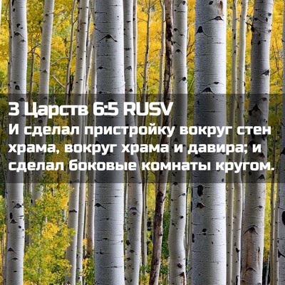 Picture 02 - 3 Царств 6:5 RUSV - И сделал пристройку вокруг - Bible Verse Picture