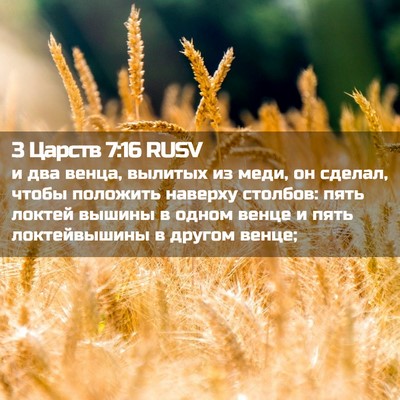 Picture 02 - 3 Царств 7:16 RUSV - и два венца, вылитых из - Bible Verse Picture