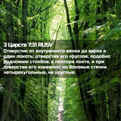 Picture 02 - 3 Царств 7:31 RUSV - Отверстие от внутреннего - Bible Verse Picture