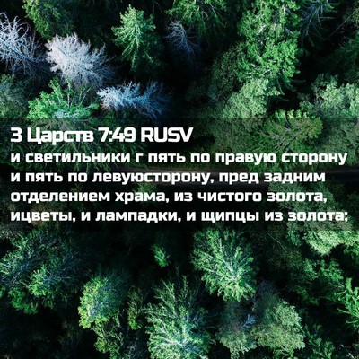 Picture 02 - 3 Царств 7:49 RUSV - и светильники г пять по - Bible Verse Picture