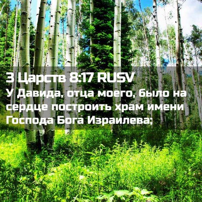 Picture 02 - 3 Царств 8:17 RUSV - У Давида, отца моего, было - Bible Verse Picture