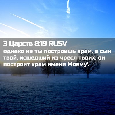 Picture 02 - 3 Царств 8:19 RUSV - однако не ты построишь - Bible Verse Picture