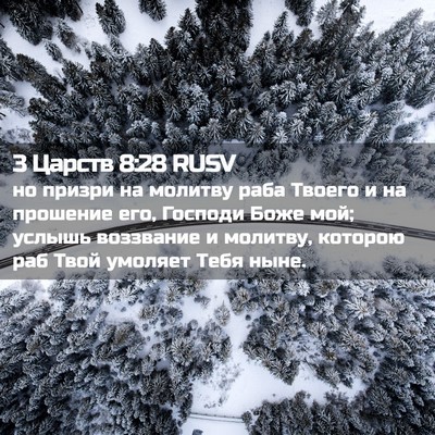 Picture 02 - 3 Царств 8:28 RUSV - но призри на молитву раба - Bible Verse Picture