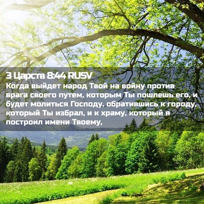 Picture 02 - 3 Царств 8:44 RUSV - Когда выйдет народ Твой на - Bible Verse Picture
