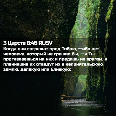 Picture 02 - 3 Царств 8:46 RUSV - Когда они согрешат пред - Bible Verse Picture