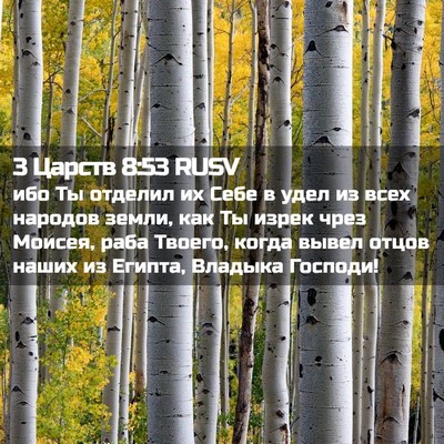 Picture 02 - 3 Царств 8:53 RUSV - ибо Ты отделил их Себе в - Bible Verse Picture