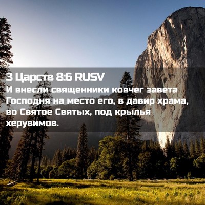 Picture 02 - 3 Царств 8:6 RUSV - И внесли священники ковчег - Bible Verse Picture