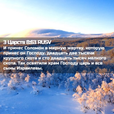 Picture 02 - 3 Царств 8:63 RUSV - И принес Соломон в мирную - Bible Verse Picture
