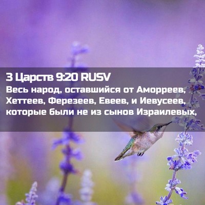 Picture 02 - 3 Царств 9:20 RUSV - Весь народ, оставшийся от - Bible Verse Picture
