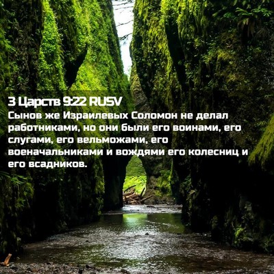 Picture 02 - 3 Царств 9:22 RUSV - Сынов же Израилевых - Bible Verse Picture