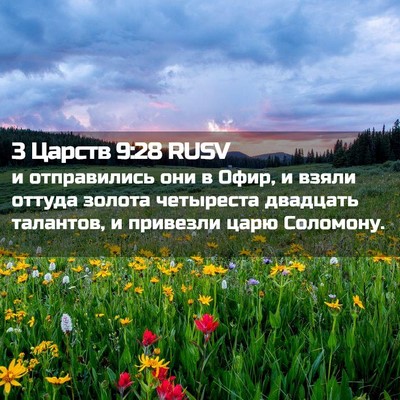 Picture 02 - 3 Царств 9:28 RUSV - и отправились они в Офир, и - Bible Verse Picture