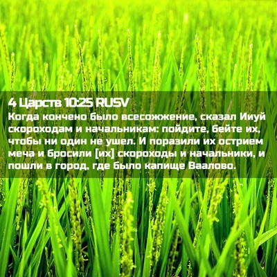 Picture 02 - 4 Царств 10:25 RUSV - Когда кончено было - Bible Verse Picture