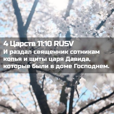 Picture 02 - 4 Царств 11:10 RUSV - И раздал священник - Bible Verse Picture