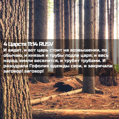 Picture 02 - 4 Царств 11:14 RUSV - И видит, и вот царь стоит на - Bible Verse Picture