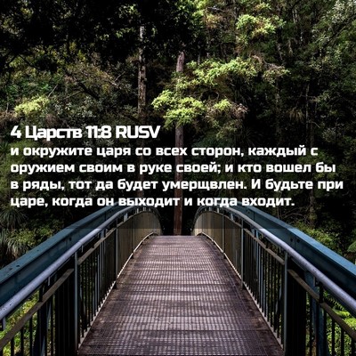 Picture 02 - 4 Царств 11:8 RUSV - и окружите царя со всех - Bible Verse Picture
